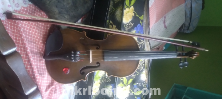 Violin